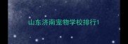 山东济南宠物学校排行