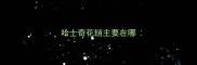 哈士奇花销主要在哪