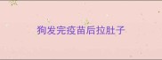 狗发完疫苗后拉肚子