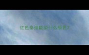 红色泰迪能染什么颜色