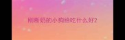 刚断奶的小狗给吃什么好