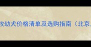 最新黑色边牧幼犬价格清单及选购指南北京上海广州