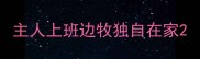 主人上班边牧独自在家