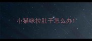 小猫咪拉肚子怎么办
