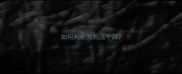 如何判断狗狗几个月