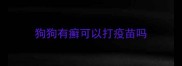 狗狗有癣可以打疫苗吗