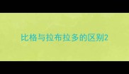 比格与拉布拉多的区别