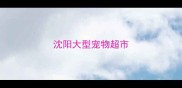 沈阳大型宠物超市