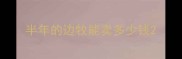 半年的边牧能卖多少钱