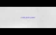 小狗乳房挤出液体