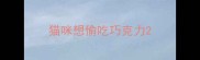 猫咪想偷吃巧克力