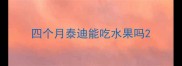四个月泰迪能吃水果吗