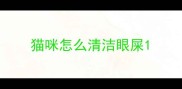 猫咪怎么清洁眼屎
