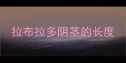 拉布拉多阴茎的长度