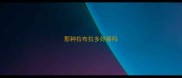 那种拉布拉多好看吗