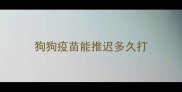 狗狗疫苗能推迟多久打