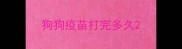 狗狗疫苗打完多久