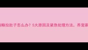 小狗不吃狗粮拉肚子怎么办5大原因及紧急处理方法养宠家长必看