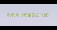 狗狗可以喝藿香正气液