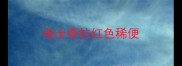 哈士奇拉红色稀便