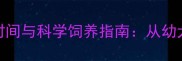 拉布拉多犬成年时间与科学饲养指南从幼犬到成犬的成长全