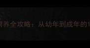 英国短毛猫科学饲养全攻略从幼年到成年的12个月成长时间表