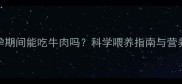 泰迪怀孕期间能吃牛肉吗科学喂养指南与营养搭配全