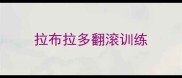 拉布拉多翻滚训练