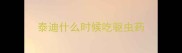 泰迪什么时候吃驱虫药