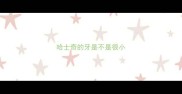 哈士奇的牙是不是很小