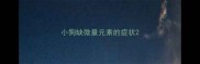 小狗缺微量元素的症状