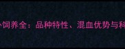 拉布拉多国外饲养全品种特性混血优势与科学养护指南