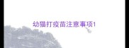 幼猫打疫苗注意事项
