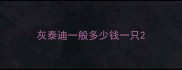 灰泰迪一般多少钱一只