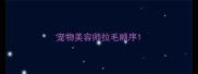宠物美容师拉毛顺序