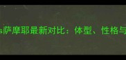 哈士奇vs萨摩耶最新对比体型性格与饲养全