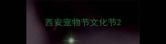 西安宠物节文化节