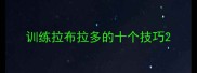 训练拉布拉多的十个技巧