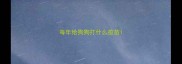 每年给狗狗打什么疫苗