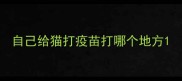 自己给猫打疫苗打哪个地方