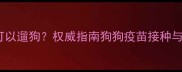 打完疫苗后多久可以遛狗权威指南狗狗疫苗接种与户外活动安全期