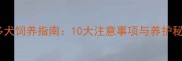 新手必看拉布拉多犬饲养指南10大注意事项与养护秘籍附健康标准