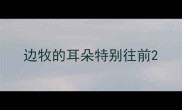 边牧的耳朵特别往前
