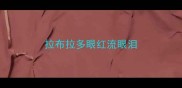 拉布拉多眼红流眼泪