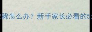 两个月大幼犬洗澡后拉稀怎么办新手家长必看的5大应对措施与预防指南