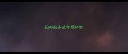 拉布拉多成年后体长