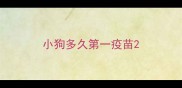 小狗多久第一疫苗