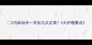 2月龄幼犬一天拉几次正常5大护理要点