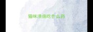 猫咪溃疡吃什么药
