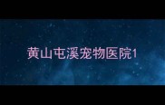 黄山屯溪宠物医院